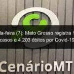 segunda feira 7 mato grosso registra 163 002 casos e 4 203 obitos por covid 19 996724