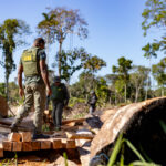 Operação Amazônia na Região Norte de Mato Grosso  - Foto por: Karla Silva/Sema-MT