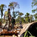 Operação Amazônia na Região Norte de Mato Grosso  - Foto por: Karla Silva/Sema-MT