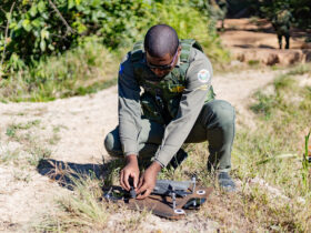 Agente ambiental manuseando o drone em campo  - Foto por: Karla Silva/Sema-MT