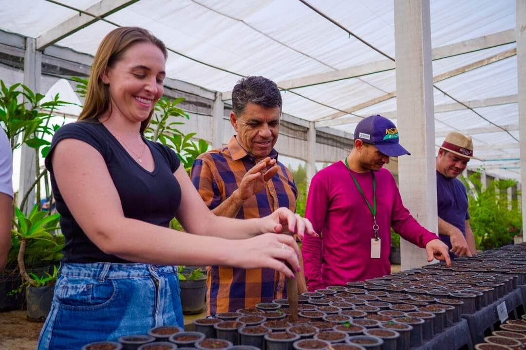 sementes de ipes sao plantadas em horto municipal interna 2 2023 09 07 1259245876