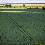 preço mínimo para produtos agrícolas