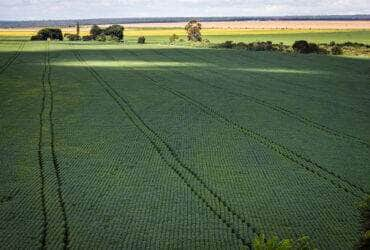 preço mínimo para produtos agrícolas