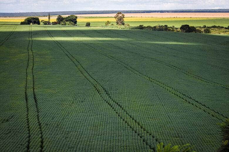 preço mínimo para produtos agrícolas