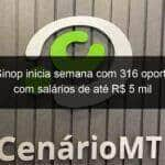 sine de sinop inicia semana com 316 oportunidades com salarios de ate r 5 mil 935336