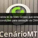 stf invalida lei de mato grosso que estabelecia condicoes para cassacao da cnh 1041883