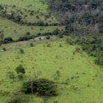 Propriedade rural cadastrada na Amazonia Por: MMA/Arquivo