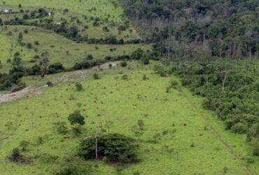 Propriedade rural cadastrada na Amazonia Por: MMA/Arquivo