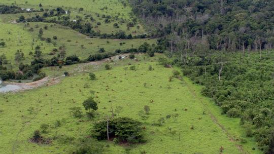 Propriedade rural cadastrada na Amazonia Por: MMA/Arquivo