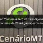 territorio yanomami tem 28 mil indigenas e foi tomado por mais de 20 mil garimpeiros no governo bolsonaro 1308802