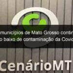 todos os municipios de mato grosso continuam com risco baixo de contaminacao da covid 19 988861