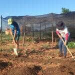 trabalhadores pedem reducao de juros para produzir alimentos no brasil