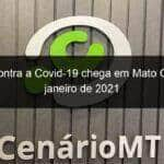 vacina contra a covid 19 chega em mato groso em janeiro de 2021 979168