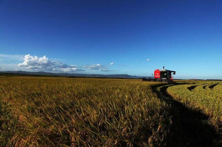 valor bruto da producao agropecuaria em 2023 e estimado em r 1 179 trilhao