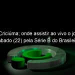 vasco x criciuma onde assistir ao vivo o jogo deste sabado 22 pela serie b do brasileiro 1226592