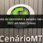 veja a lista de candidatos a senador nas eleicoes 2022 em mato grosso 1209610