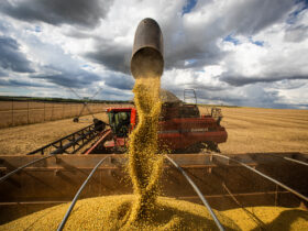 Colheita de soja, grãos de soja Por: CNA/Wenderson Araujo/Trilux