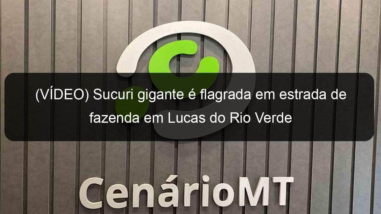 video sucuri gigante e flagrada em estrada de fazenda em lucas do rio verde 905644