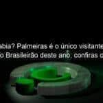 voce sabia palmeiras e o unico visitante invicto no brasileirao deste ano confiras os melhores e piores 1203981