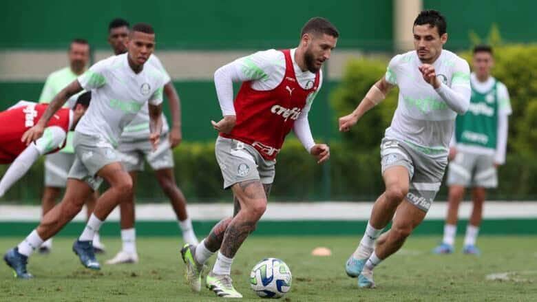 23112023 cg palmeiras 3065 56