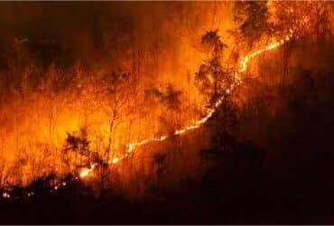 BOLETIM RISCO DE INCÊNDIO