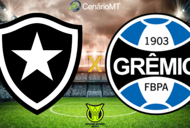 Botafogo x Grêmio ao vivo