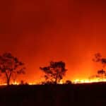 Cidade de Mato Grosso declara situação de emergência devido a incêndios no Pantanal