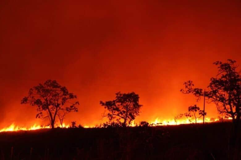 Corpo de Bombeiros combate 48 incêndios florestais em Mato Grosso nesta sexta-feira
