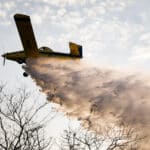 Corpo de Bombeiros extingue incêndio dentro de parque no Pantanal de Mato Grosso