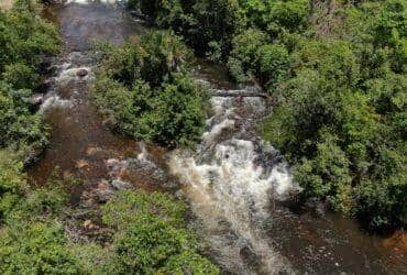 Guardiao das Aguas em PVA