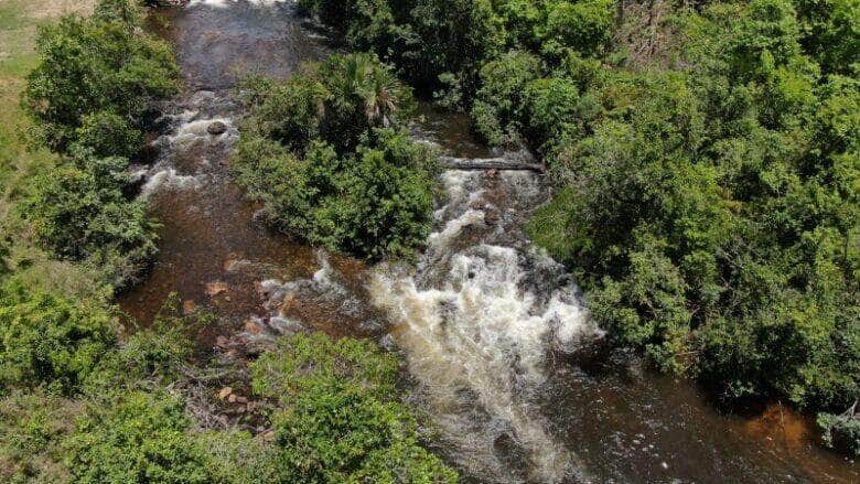 Guardiao das Aguas em PVA