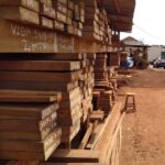 Homem perde a vida ao ser atingido por tora de madeira em Mato Grosso