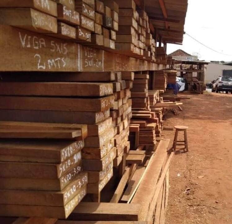 Homem perde a vida ao ser atingido por tora de madeira em Mato Grosso