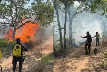 Incêndio atinge Terra Indígena Portal do Encantado na fronteira de Mato Grosso com a Bolívia