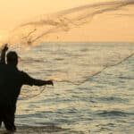 Lei de pesca em Mato Grosso: O que mudou e quem está autorizado a pescar