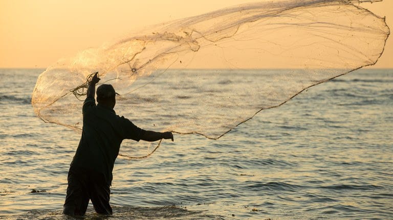 Lei de pesca em Mato Grosso: O que mudou e quem está autorizado a pescar