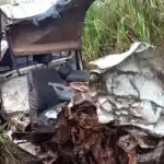 Padrasto e enteada morrem apos atropelamento de capivara em rodovia de Mato Grosso