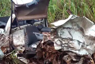 Padrasto e enteada morrem apos atropelamento de capivara em rodovia de Mato Grosso