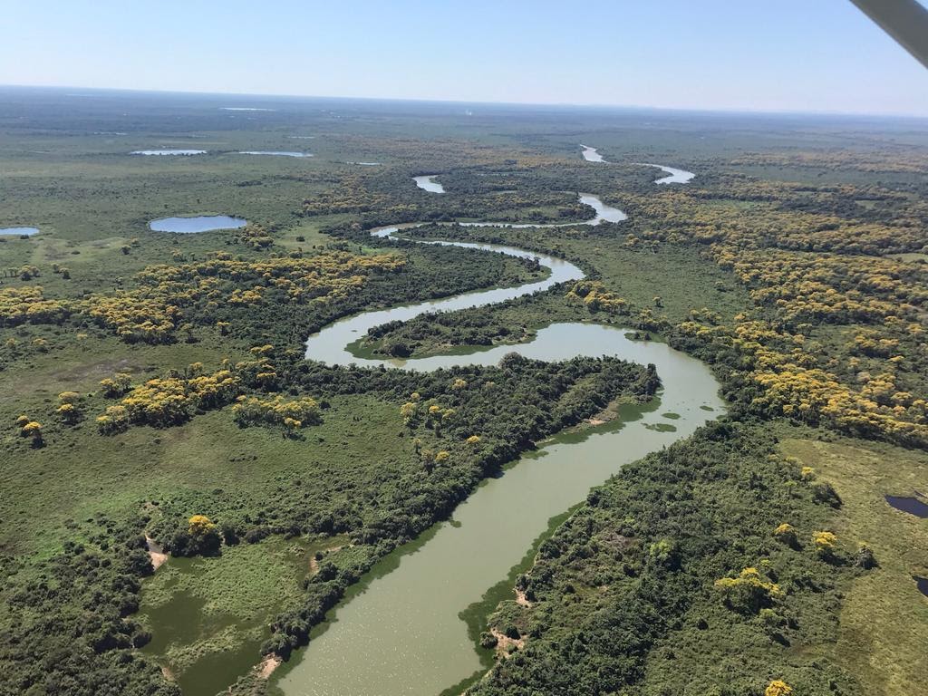 Dia do Pantanal