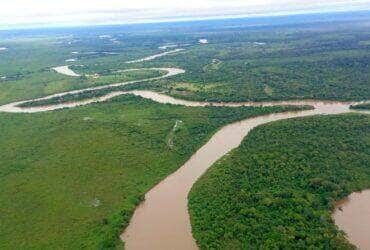 Dia do Pantanal