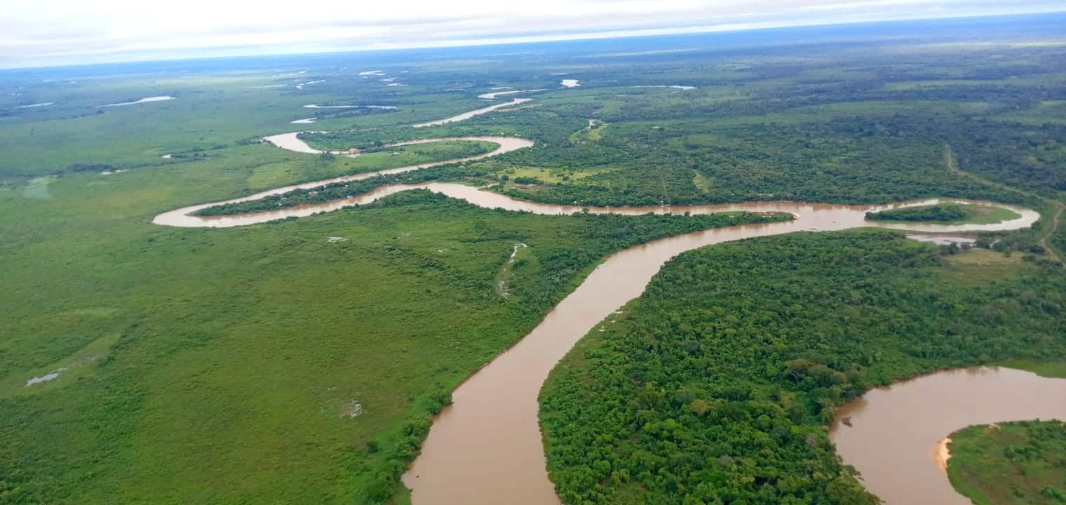 Dia do Pantanal