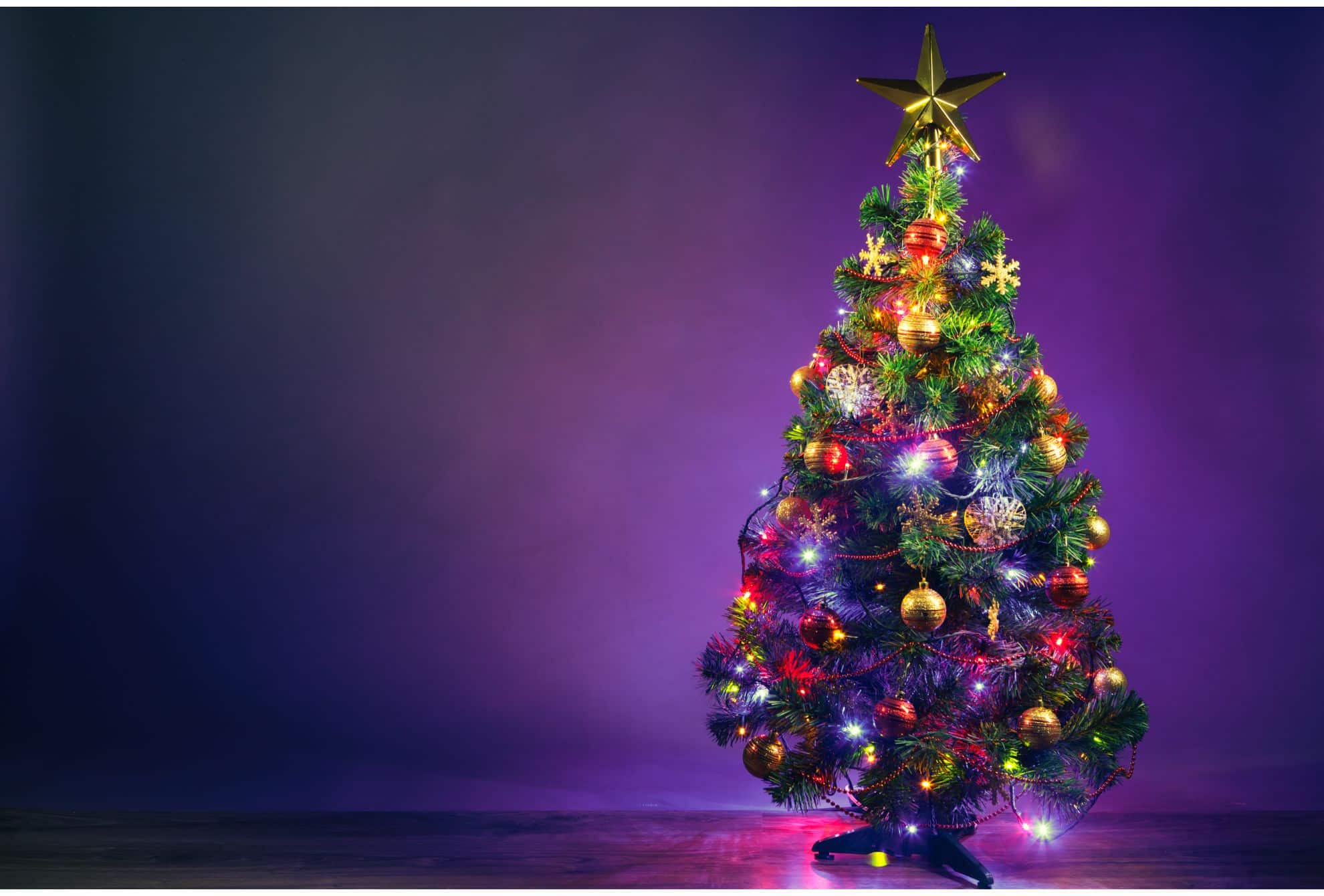 Qual o dia certo de montar a árvore de Natal?