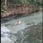 A sucuri é um réptil semiaquático, que passa grande parte do tempo na água. Ela é encontrada em diversos tipos de corpos d'água, como rios, lagos, lagoas e até mesmo oceanos.