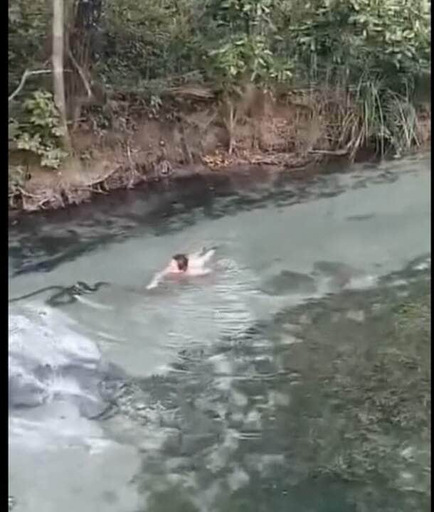 A sucuri é um réptil semiaquático, que passa grande parte do tempo na água. Ela é encontrada em diversos tipos de corpos d'água, como rios, lagos, lagoas e até mesmo oceanos.