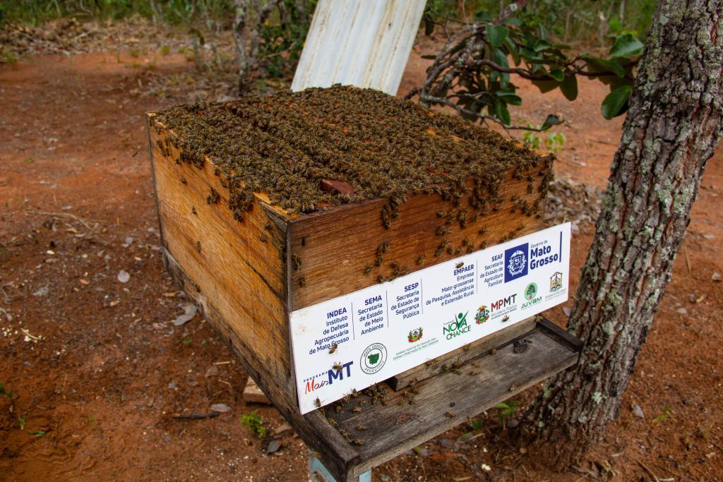 agricultores familiares de feliz natal usam caixas de abelha construidas por reeducandos interna 1 2023 11 13 1547883934