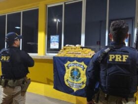 Polícia Rodoviária Federal prende indivíduo com quase 50 Kg de maconha em ação de combate ao crime na BR 163