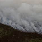 Porto Jofre (MT) 16/11/2023 –Incêndio florestal que atinge o Pantanal. Foto: Joédson Alves/Agência Brasil