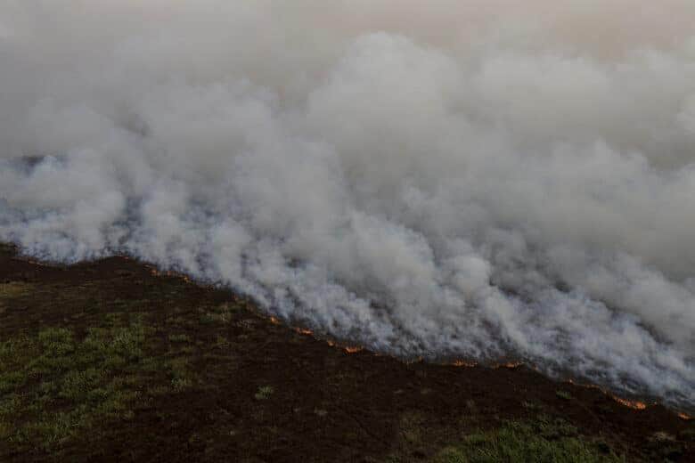 Porto Jofre (MT) 16/11/2023 –Incêndio florestal que atinge o Pantanal. Foto: Joédson Alves/Agência Brasil