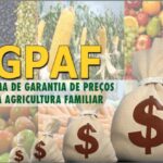 Conab publica lista de novembro dos produtos com bônus do Programa de Garantia de Preços para a Agricultura Familiar -