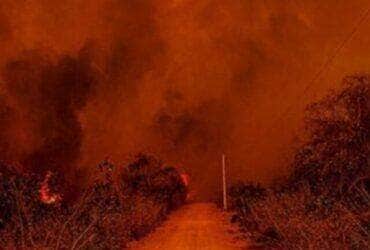 Bombeiros de Mato Grosso controlam incêndios em região de fazendas do Pantanal